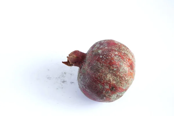 Hafif arka planda küflü, bozuk nar meyvesi. Boşluğu kopyala.
