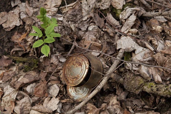 Long decaying waste in nature. An old rusty tin can in the forest lies on dry fallen leaves.