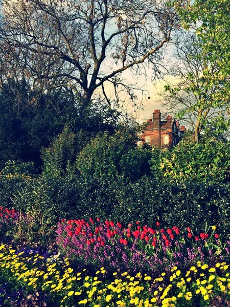 Flowers Front House — Stock Photo, Image