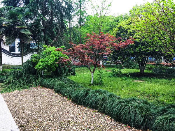 Jardín Verde Con Árboles Coloridos — Foto de Stock