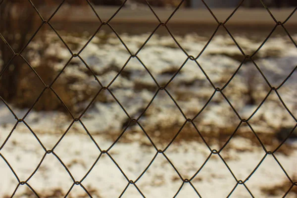 Забор Фоне Леса — стоковое фото