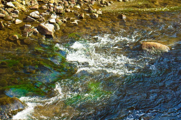 Torrente Nella Foresta Nella Soleggiata Giornata Primaverile — Foto Stock