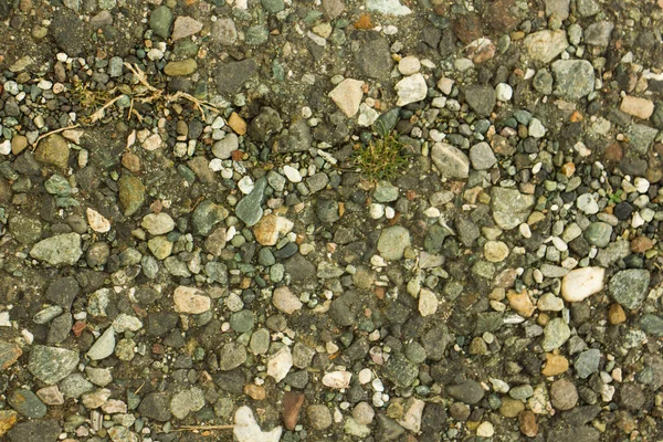background of colored stones on the ground