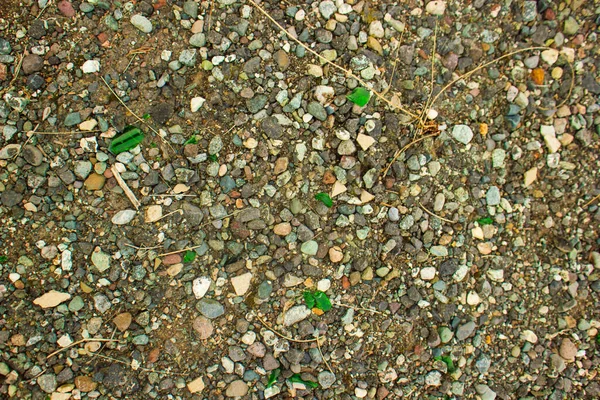 Brocken Zielone Szkło Ziemi Kolorowymi Abstrakcyjnymi Kamieniami — Zdjęcie stockowe