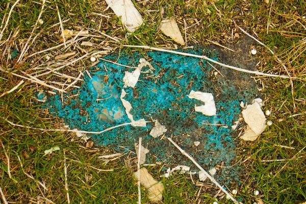 Mavi Soyut Yeşil Çimlerde Yanmış Plastik — Stok fotoğraf