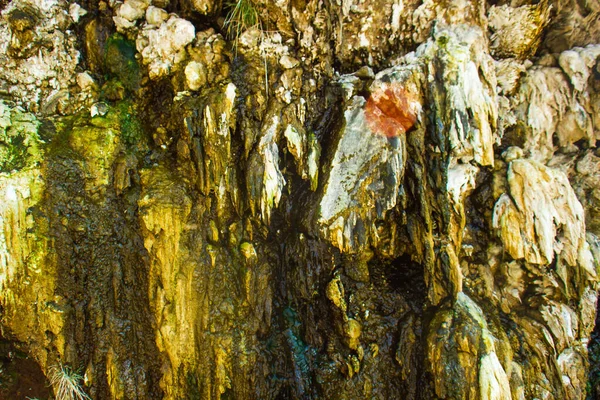 Une Eau Minérale Coule Entre Les Mousses Sur Les Rochers — Photo