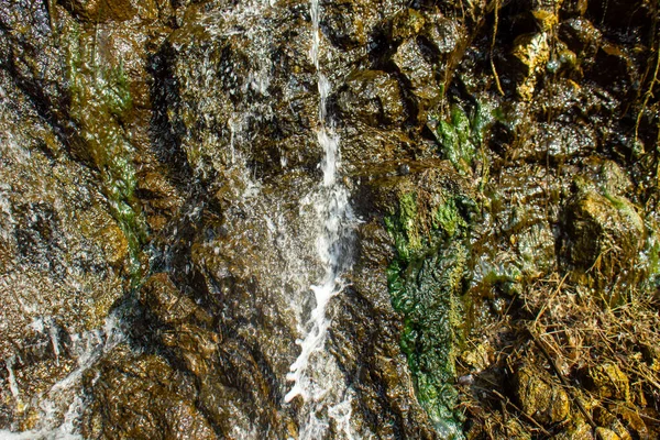 Tra Muschi Sulle Rocce Scorre Acqua Minerale — Foto Stock