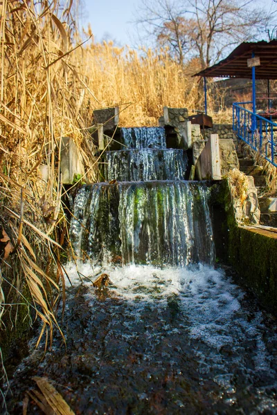 Потік Води Полі Пшениці — стокове фото