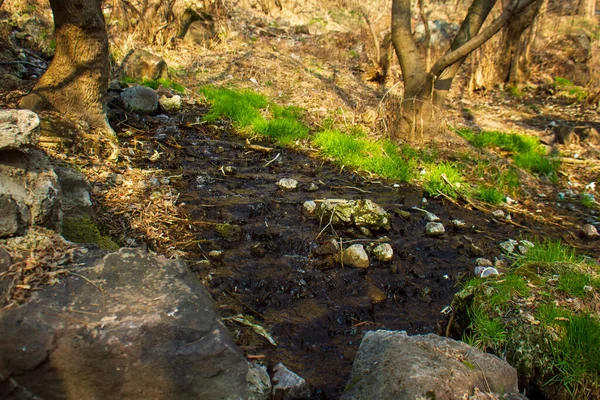 Камені Річці Лісі — стокове фото