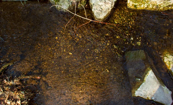 Bosque Abstracto Piedras Agua — Foto de Stock