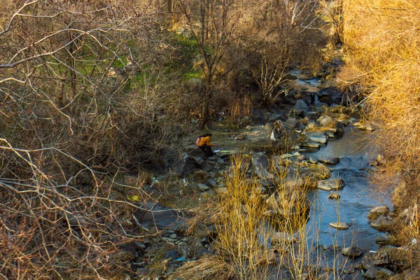 Осіннє Жовте Листя Річці — стокове фото