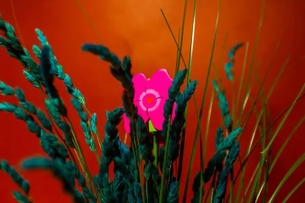 Flor Púrpura Decorativa Con Las Hojas Decorativas Sobre Fondo Abstracto — Foto de Stock