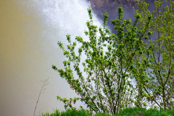 森の中の川森の中の川森の中に流れる水川の中に流れる水朝の滝 — ストック写真