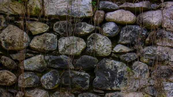 Zbliżenie Skały Zbliżenie Skały Lesie Kamienna Tapeta — Zdjęcie stockowe