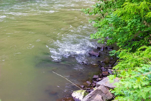 Маленька Річка Лісі Вода Тече Річку Тече Лісі — стокове фото