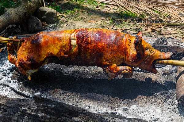 Domuz emdikleri ateşe kavrulmuş. Filipino gıda Lechon.