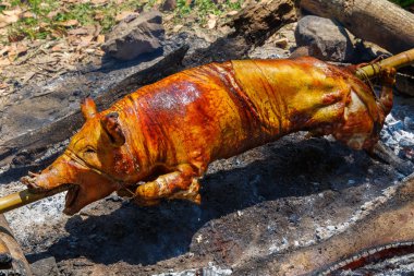 Domuz emdikleri ateşe kavrulmuş. Filipino gıda Lechon.