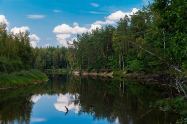 Sonbahar manzara. Orman, mavi gökyüzü w ile nehir akar