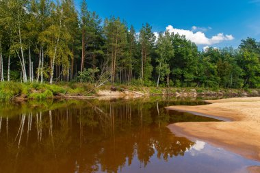 Sonbahar manzara. Orman, mavi gökyüzü w ile nehir akar