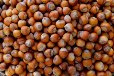 Fındık yığınını. Fındık arka plan