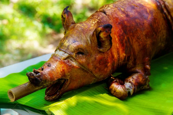 Cerdo lechón asado al fuego servido sobre hojas de plátano. Comida filipina — Foto de Stock