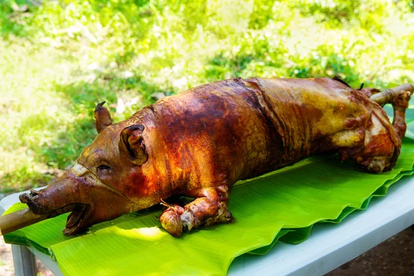 Cerdo lechón asado al fuego servido sobre hojas de plátano. Comida filipina — Foto de Stock