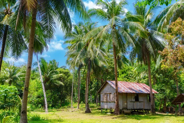Paisaje tropical rural. Cabaña de bambú rodeada de palmeras . —  Fotos de Stock