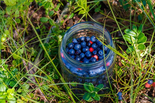 Glass jar with freshly picked blueberries and cowberry stands in — Stock Photo, Image