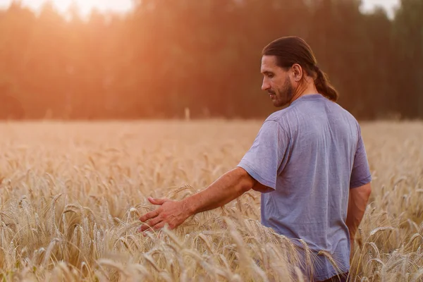 Een man met zijn rug naar de viewer op een gebied van tarwe geraakt door — Stockfoto