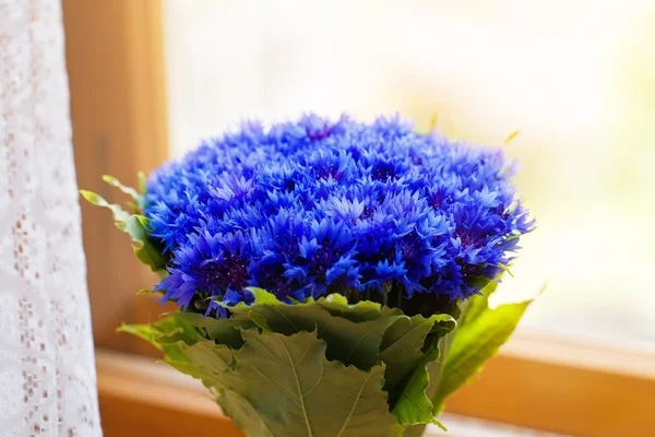 Un ramo de hermosas flores de primavera azul ciano aciano en —  Fotos de Stock