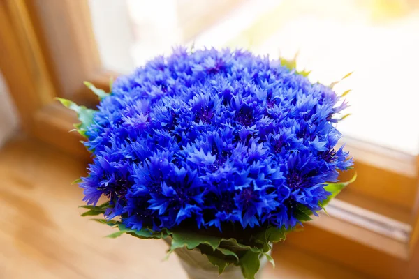 Un bouquet di bellissimi fiori di primavera blu fiordaliso ciano su — Foto Stock