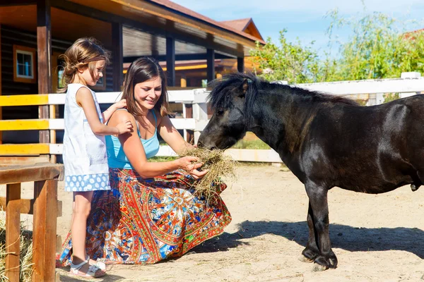 Mother and daughter are fed with straw ponies on the farm. — Stock Photo, Image