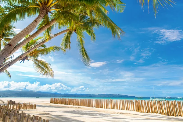 Schöne Palme über dem weißen tropischen Sandstrand. Meer und Hafen — Stockfoto