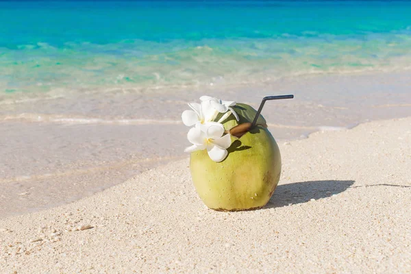 Kokosowe świeże sok z słomy i Plumeria kwiaty na tropi — Zdjęcie stockowe