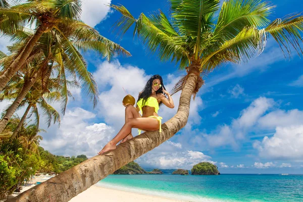 비키니에 야자수에 코코넛에서 젊은 아름 다운 소녀 — 스톡 사진