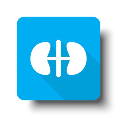 Mavi web düğme simgesine beyaz böbrekler