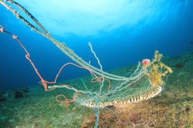 Net trash on sea bottom, pollution concept.