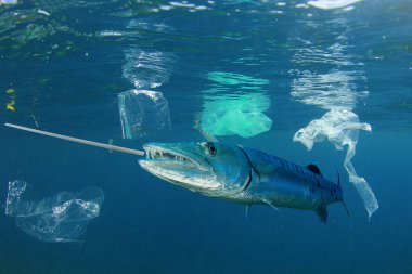 Deniz suyundaki çeşitli plastik çöpler arasında balıkların yakın görüntüsü