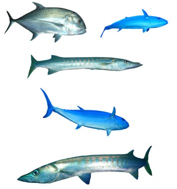 Tunalar ve titremeler beyaz arkaplanda izole edilmiş