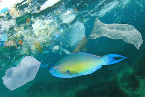 Plastic Trash Sea Water Global Pollution Disaster Concept — Stock Photo, Image