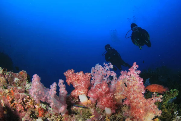 Silhuetas Mergulhadores Com Peixes Redor Vida Subaquática — Fotografia de Stock