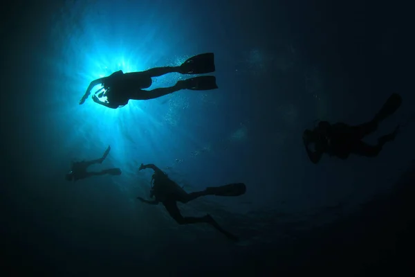 Silhouettes Plongeurs Avec Des Poissons Autour Vie Sous Marine — Photo