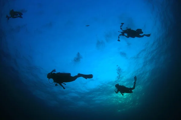 Blick Von Unten Auf Silhouetten Von Tauchern Die Unter Wasser — Stockfoto