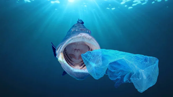 Fish eating plastic bag, water pollution concept.