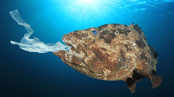 Fish eating plastic bag, water pollution concept.