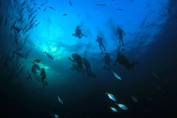 Silhouettes Plongeurs Avec Des Poissons Autour Vie Sous Marine — Photo