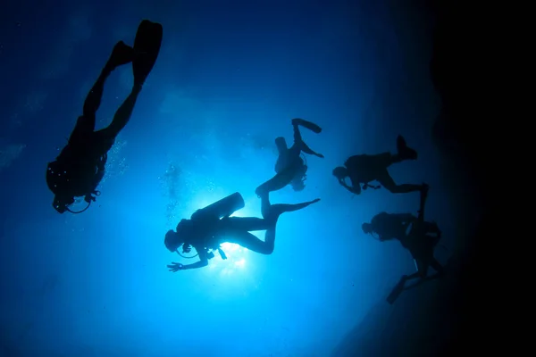 Onderaanzicht Van Silhouetten Van Duikers Die Onder Water Zwemmen — Stockfoto