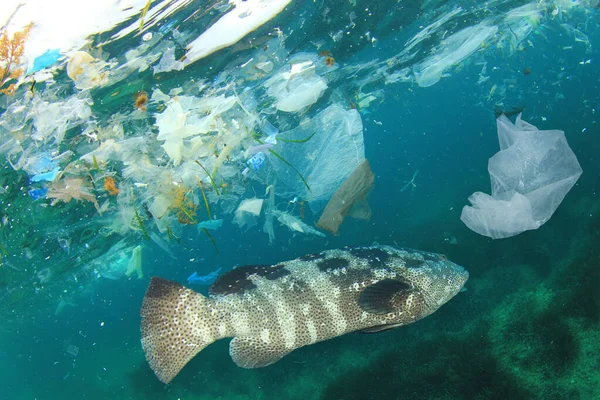 Пластиковый Мусор Морской Воде Глобальная Концепция Экологической Катастрофы — стоковое фото