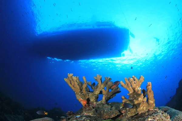 Korallrev Med Silhuett Skip – stockfoto