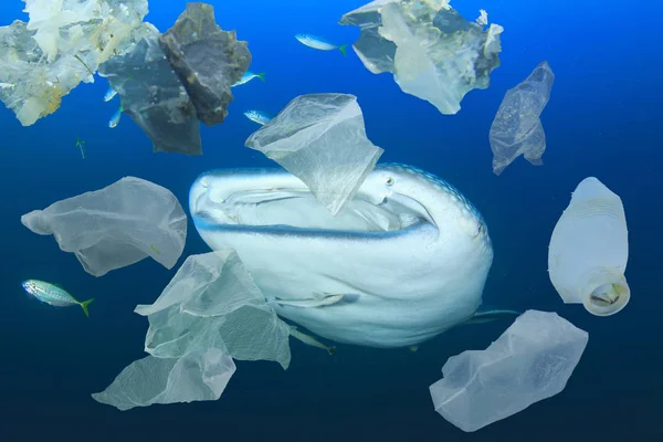 Erilaisia Muovijätettä Merivedessä Maailmanlaajuinen Saastuminen Katastrofi — kuvapankkivalokuva